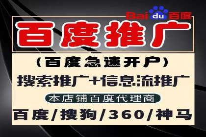 不同平台的SEM广告投放比较及成功案例分析